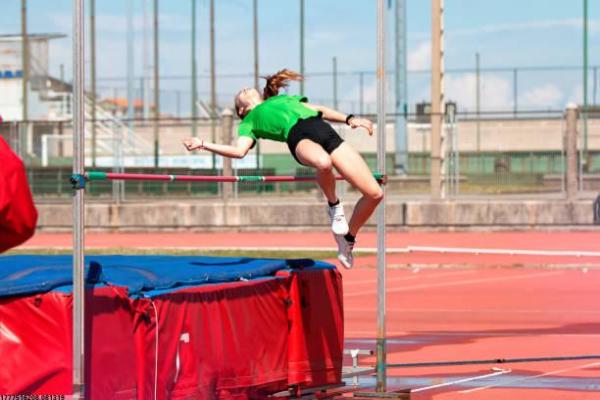 焦作老体育馆目前有哪些培训项目(图1)